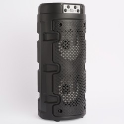 PARLANTE MULTIMEDIA ZQS4271 18x16x42cm